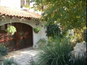 ������� ����